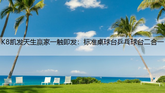 K8凯发天生赢家一触即发：标准桌球台乒乓球台二合一