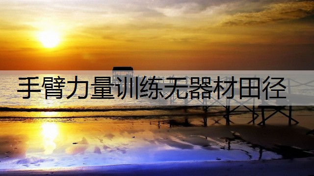 手臂力量训练无器材田径
