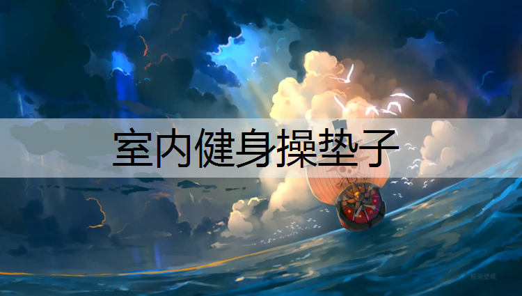 室内健身操垫子