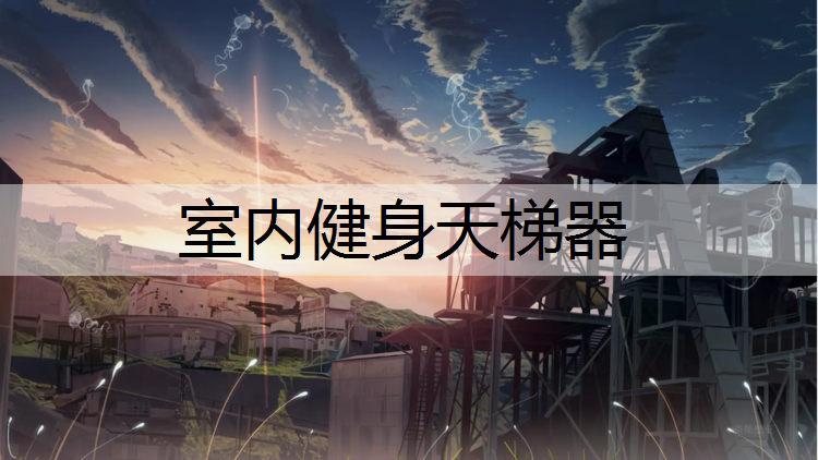 室内健身天梯器