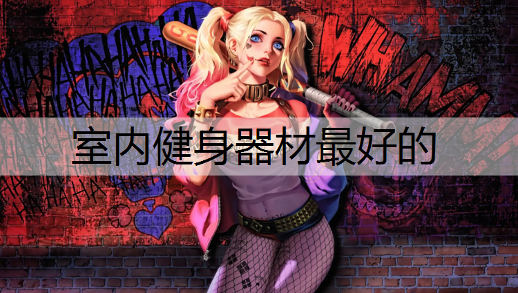 室内健身器材最好的