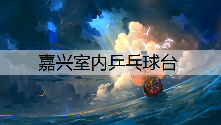 嘉兴室内乒乓球台