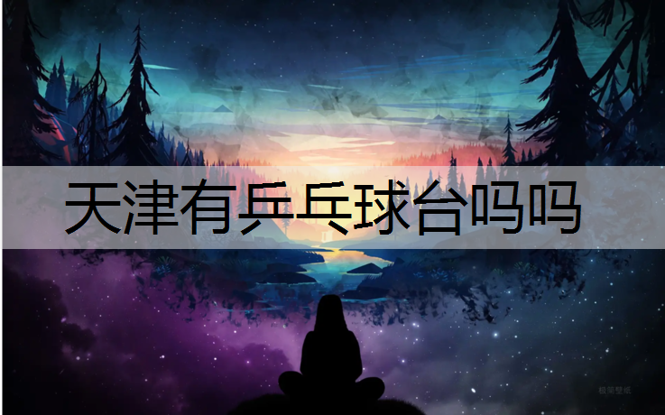 天津有乒乓球台吗吗