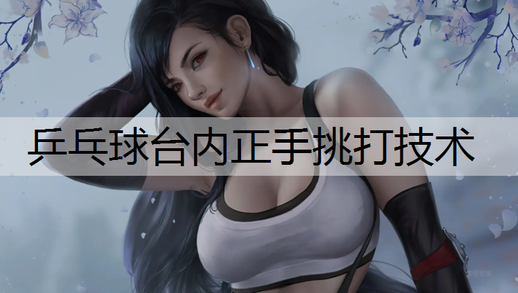 乒乓球台内正手挑打技术