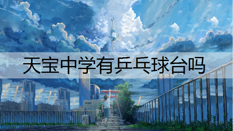 天宝中学有乒乓球台吗