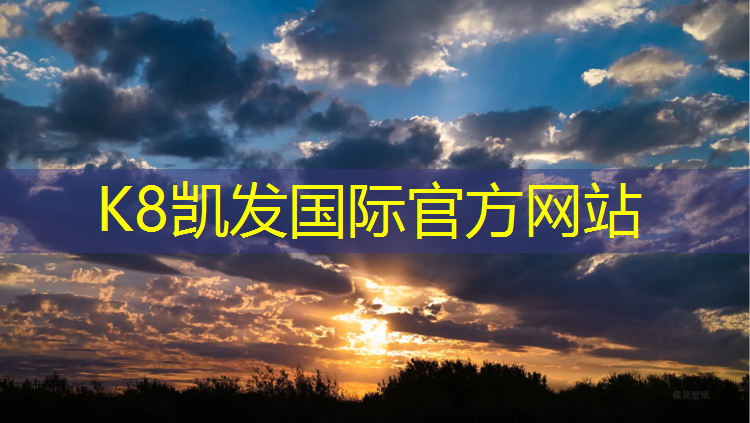 k8凯发官网入口：竞技体操专用垫球