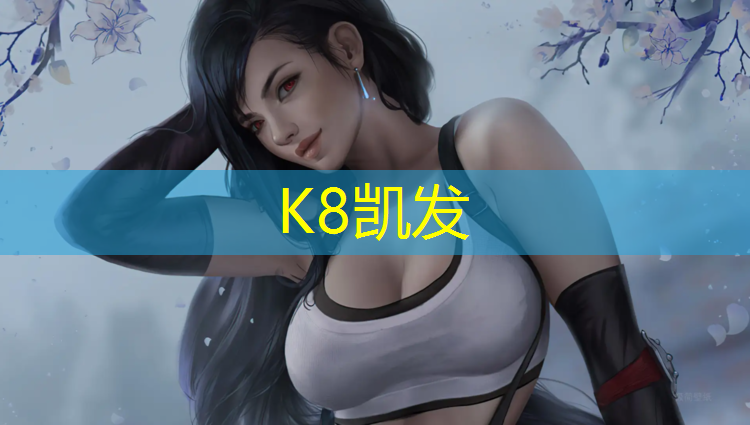 K8凯发：铁丝网球网编织