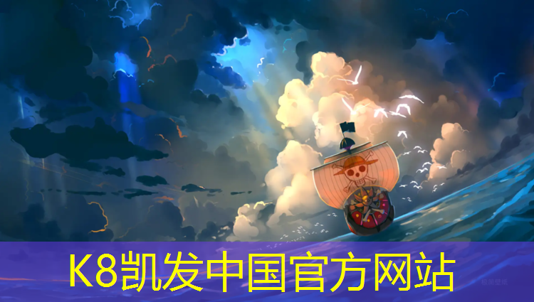 K8凯发中国官方网站：南岸塑胶跑道价格查询网