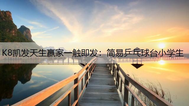 简易乒乓球台小学生