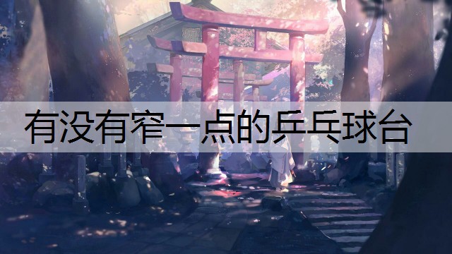 有没有窄一点的乒乓球台