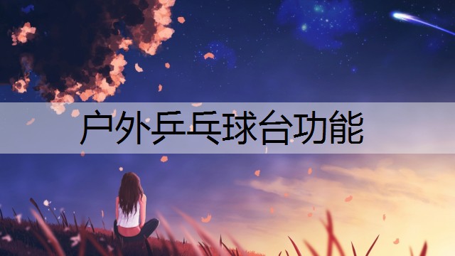 户外乒乓球台功能 户外乒乓球台功能