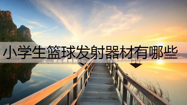 小学生篮球发射器材有哪些