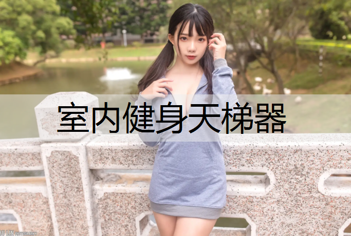 室内健身天梯器