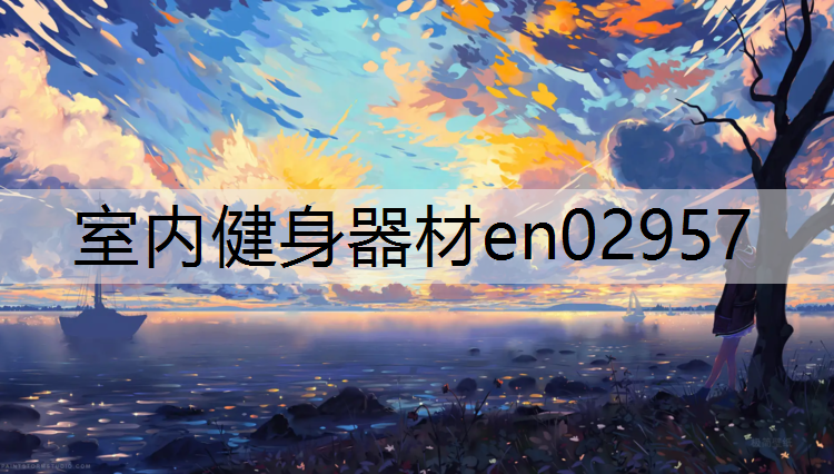室内健身器材en02957