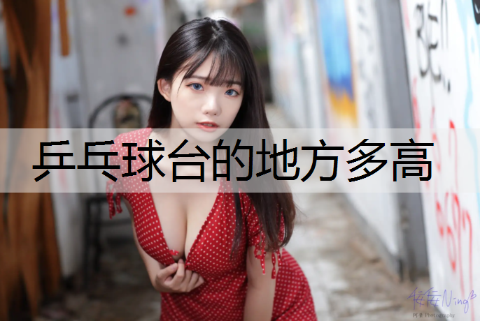 乒乓球台的地方多高