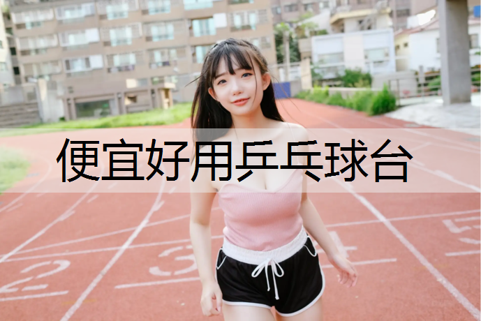 便宜好用乒乓球台