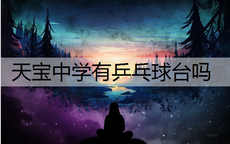 天宝中学有乒乓球台吗